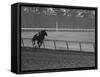 Horse Ridan During Race-null-Framed Stretched Canvas