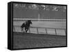 Horse Ridan During Race-null-Framed Stretched Canvas