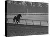 Horse Ridan During Race-null-Stretched Canvas