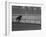 Horse Ridan During Race-null-Framed Photographic Print