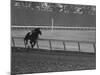 Horse Ridan During Race-null-Mounted Photographic Print