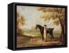 Horse, Rider and Whippet-George Garrard-Framed Stretched Canvas