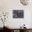 Horse Rider Houses Cavallo Cavaliere Caseggiato-Umberto Boccioni-Stretched Canvas displayed on a wall