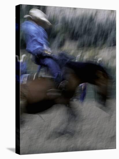 Horse Rider in Motion, USA-Michael Brown-Stretched Canvas