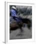 Horse Rider in Motion, USA-Michael Brown-Framed Photographic Print