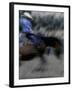 Horse Rider in Motion, USA-Michael Brown-Framed Photographic Print