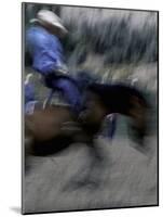 Horse Rider in Motion, USA-Michael Brown-Mounted Photographic Print