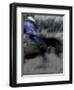 Horse Rider in Motion, USA-Michael Brown-Framed Photographic Print