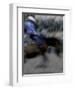Horse Rider in Motion, USA-Michael Brown-Framed Photographic Print