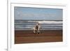 Horse rider on a beach near Azemmour, Morocco-Godong-Framed Photographic Print