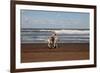 Horse rider on a beach near Azemmour, Morocco-Godong-Framed Photographic Print