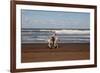 Horse rider on a beach near Azemmour, Morocco-Godong-Framed Photographic Print