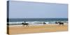 Horse rider's galloping down sandy Cornish beach on a summer's day, Sandymouth, Cornwall, England. -Adam Burton-Stretched Canvas