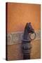 Horse ring, San Miguel de Allende, Guanajuato, Mexico-Don Paulson-Stretched Canvas