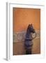 Horse ring, San Miguel de Allende, Guanajuato, Mexico-Don Paulson-Framed Photographic Print