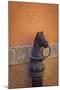 Horse ring, San Miguel de Allende, Guanajuato, Mexico-Don Paulson-Mounted Photographic Print