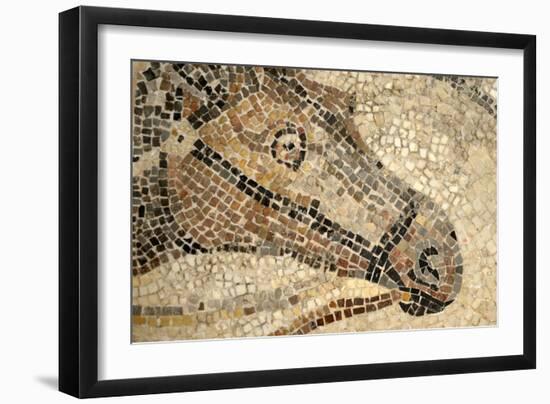 Horse Roman Floor Mosaic-null-Framed Giclee Print