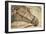 Horse Roman Floor Mosaic-null-Framed Giclee Print