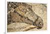 Horse Roman Floor Mosaic-null-Framed Giclee Print