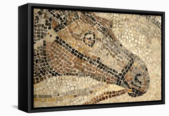 Horse Roman Floor Mosaic-null-Framed Stretched Canvas