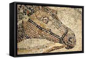 Horse Roman Floor Mosaic-null-Framed Stretched Canvas