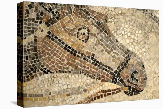 Horse Roman Floor Mosaic-null-Stretched Canvas