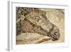 Horse Roman Floor Mosaic-null-Framed Giclee Print