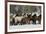 Horse roundup in winter, Kalispell, Montana-Adam Jones-Framed Premium Photographic Print