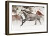 Horse roundup in winter, Kalispell, Montana.-Adam Jones-Framed Photographic Print