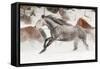 Horse roundup in winter, Kalispell, Montana.-Adam Jones-Framed Stretched Canvas