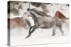 Horse roundup in winter, Kalispell, Montana.-Adam Jones-Stretched Canvas