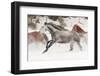 Horse roundup in winter, Kalispell, Montana.-Adam Jones-Framed Photographic Print