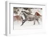 Horse roundup in winter, Kalispell, Montana.-Adam Jones-Framed Photographic Print