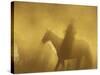 Horse Roundup, Ponderosa Ranch, Seneca, Oregon, USA-William Sutton-Stretched Canvas