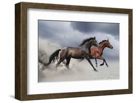 Horse Run Gallop-Callipso88-Framed Photographic Print