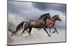 Horse Run Gallop-Callipso88-Mounted Photographic Print