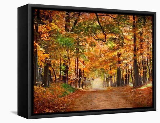 Horse Running across Road in Fall Colors-null-Framed Stretched Canvas