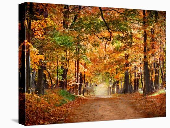 Horse Running across Road in Fall Colors-null-Stretched Canvas