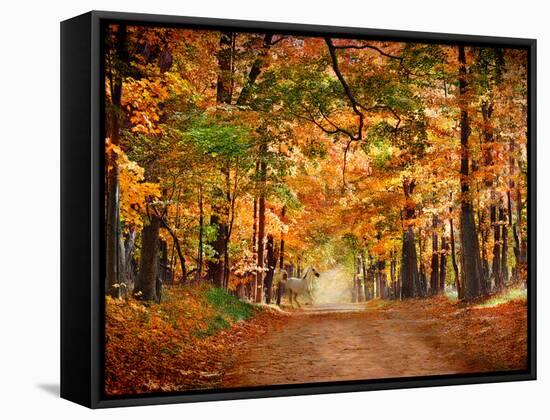 Horse Running across Road in Fall Colors-null-Framed Stretched Canvas