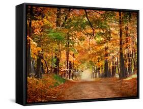 Horse Running across Road in Fall Colors-null-Framed Stretched Canvas