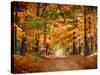 Horse Running across Road in Fall Colors-null-Stretched Canvas