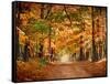 Horse Running across Road in Fall Colors-null-Framed Stretched Canvas