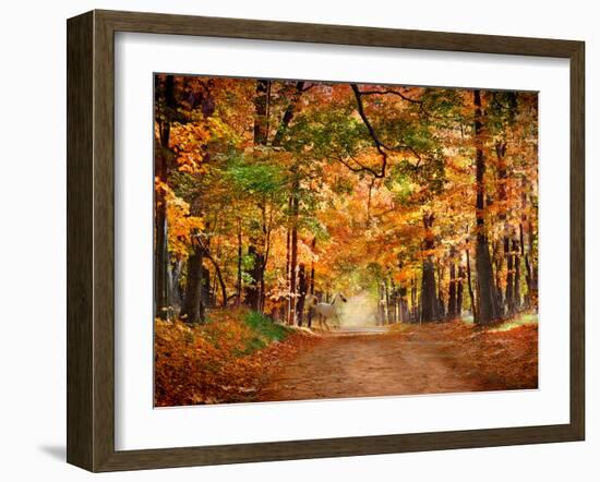 Horse Running across Road in Fall Colors-null-Framed Premium Photographic Print