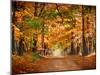 Horse Running across Road in Fall Colors-null-Mounted Premium Photographic Print