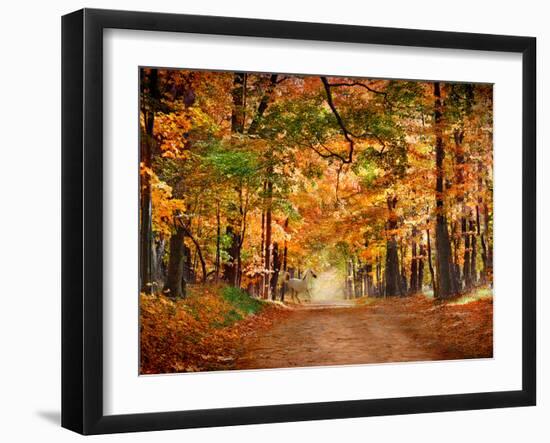 Horse Running across Road in Fall Colors-null-Framed Photographic Print