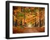 Horse Running across Road in Fall Colors-null-Framed Photographic Print