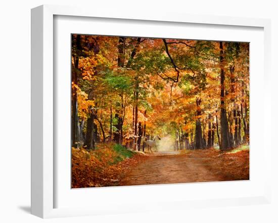 Horse Running across Road in Fall Colors-null-Framed Photographic Print