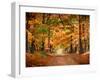 Horse Running across Road in Fall Colors-null-Framed Photographic Print