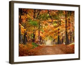 Horse Running across Road in Fall Colors-null-Framed Photographic Print