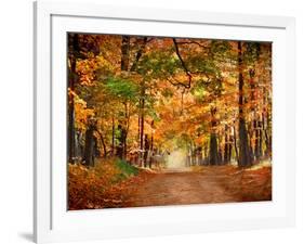 Horse Running across Road in Fall Colors-null-Framed Photographic Print